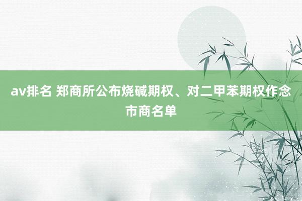 av排名 郑商所公布烧碱期权、对二甲苯期权作念市商名单