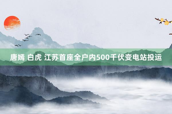 唐嫣 白虎 江苏首座全户内500千伏变电站投运