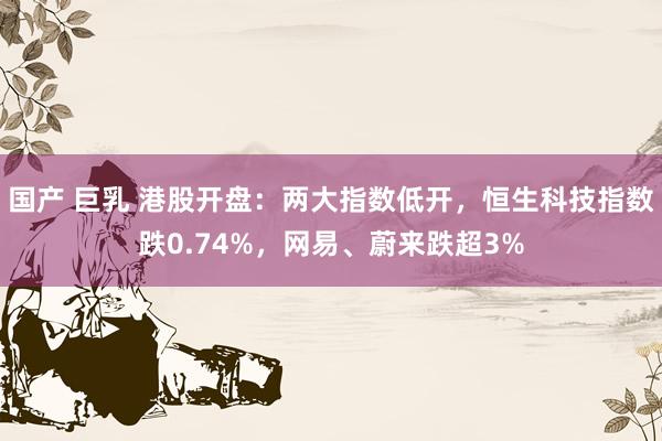 国产 巨乳 港股开盘：两大指数低开，恒生科技指数跌0.74%，网易、蔚来跌超3%