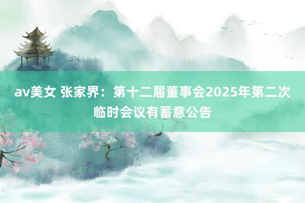 av美女 张家界：第十二届董事会2025年第二次临时会议有蓄意公告